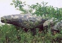 浮槎山之奇石