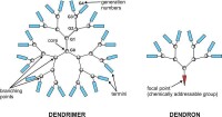 dendrimer and dendron