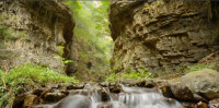 清水鎮實景