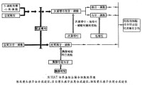 體細胞遺傳學