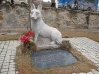 義犬賽虎陵墓雕像