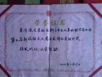 榮譽證書