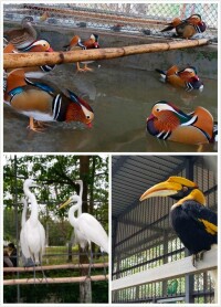 香市動物園