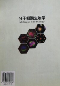 分子細胞生物學[清華大學出版社2006年出版圖書]