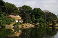 濱離宮恩賜庭園