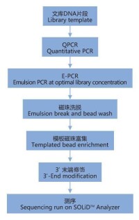 全基因組重測序