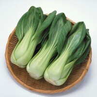 烏塌菜