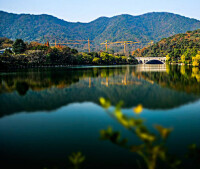 虎山公園景觀