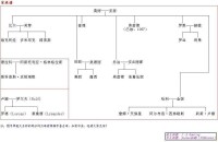 韋斯萊家譜中文版