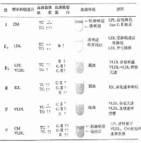 脂蛋白血症