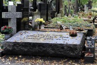 愛德華·雷茲-希米格維的墓地