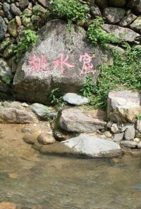 坪坑村[廣東省梅州市豐順縣北斗鎮坪坑村]