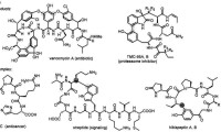 環肽類HDAC抑製劑