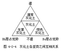 灰化土