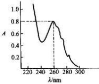 乙酸苯酯的紫外光譜圖