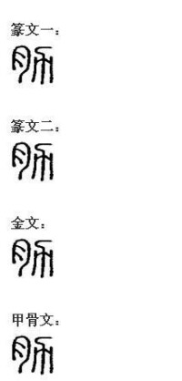 肋[漢字]