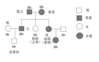 典型的常染色體顯性遺傳系譜