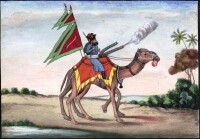 駱駝迴旋炮也被準噶爾人採用