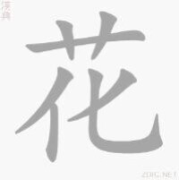 “花”的書寫演示