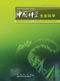 《中國科學 生命科學》封面