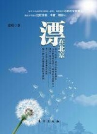 張晴長篇小說《漂在北京》封面