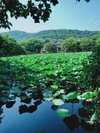 普陀山風景名勝區