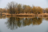 青雲湖生態濕地
