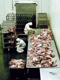 工人們給肉添加腌制液，防腐劑等添加劑。