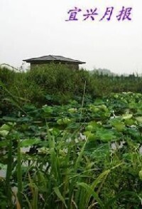 德清下渚湖國家濕地公園