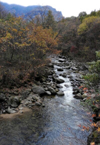 鬼谷嶺國家森林公園