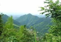 （圖）白竹山