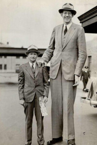 身高對比