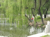 萬泉公園