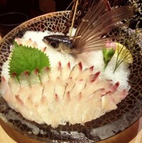 鳥取縣的飛魚燒