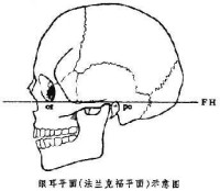 法蘭克福平面