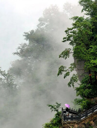 魅力欒川 相約鉬都