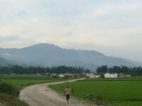 芒蚌自然村[雲南梁河縣勐養鎮下轄村]