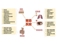 變態反應科