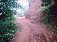 進村道路