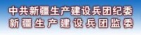 新疆生產建設兵團監察委員會