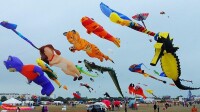 濰坊國際風箏節
