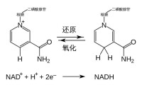 氧化和還原