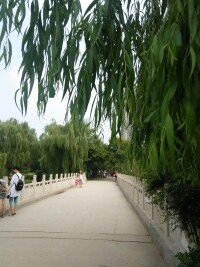 滏陽河滏陽公園景色
