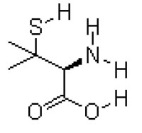 分子結構