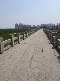 洛陽橋