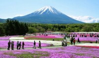 富士箱根伊豆國立公園