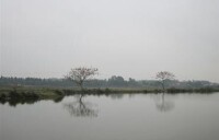 李西村[廣東湛江市下轄村]