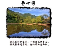 陝西朱雀國家森林公園