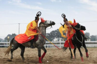 大唐皇家馬球表演