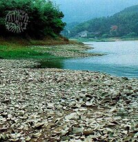 上林湖越窯青瓷遺址